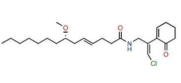 Malyngamide K